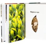 География китайского чая. Сергей Шевелев. Издание второе, дополненное.