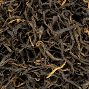 Красный чай Цзинь Я Дянь Хун Ча «Золотая Почка», 2025